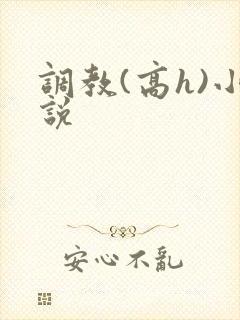 调教(高h)小说