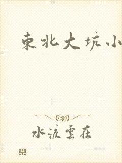 东北大坑小说