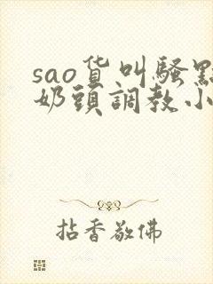 sao货叫骚点奶头调教小说封面