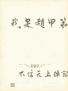 我是赵甲第小说封面