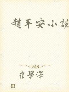 赵平安小说主角封面