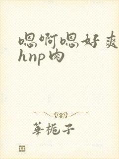 嗯啊嗯好爽啊高hnp肉
