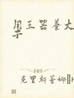 用玉器养大的皇子