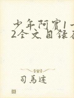 少年阿宾1一72全文目录在线