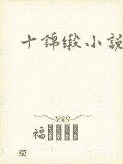 十锦缎小说