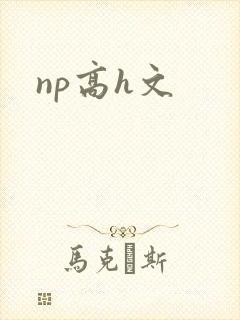 np高h文
