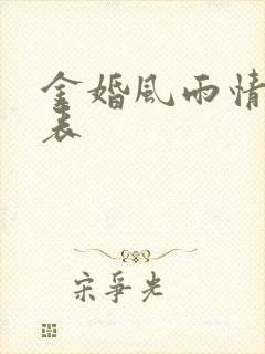 金婚风雨情演员表封面