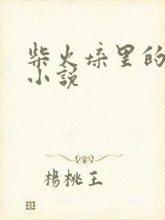 柴火垛里的疯狂小说