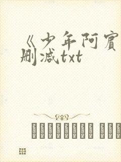 《少年阿宾》无删减txt