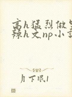 高h猛烈做哭高辣h文np小说