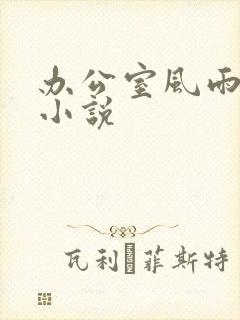 办公室风雨完整小说