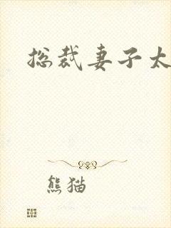 总裁妻子太诱人封面