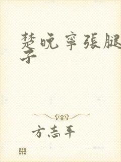 楚晚宁张腿放棋子封面