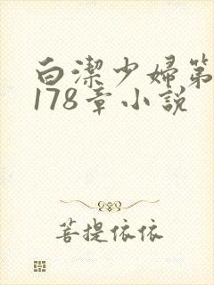 白洁少妇第1一178章小说封面