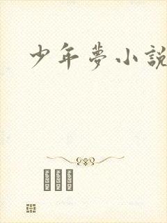 少年梦小说