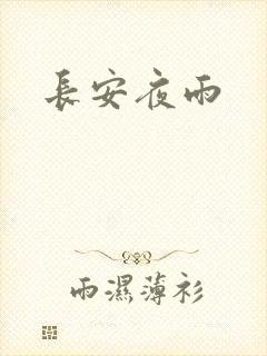 长安夜雨