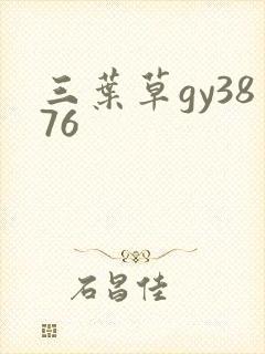 三叶草gy3876封面
