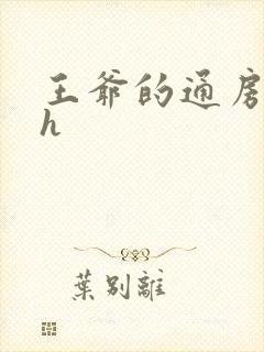 王爷的通房丫鬟h