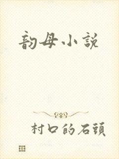 韵母小说