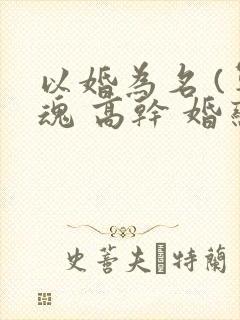 以婚为名 (军魂 高干 婚恋)