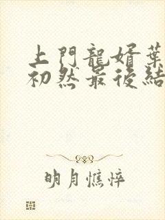 上门龙婿叶辰萧初然最后结局封面