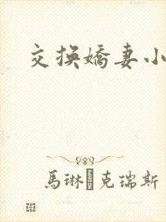 交换娇妻小说