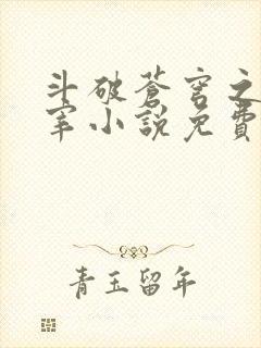 斗破苍穹之大主宰小说免费阅读全文