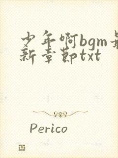 少年啊bgm最新章节txt封面