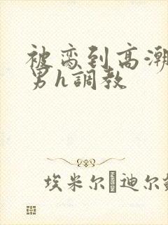 被脔到高潮的直男h调教