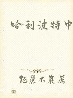 哈利波特中文版