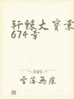 轩辕大宝袁雪妃674章