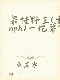 最佳野王(电竞nph)一坨薯饼