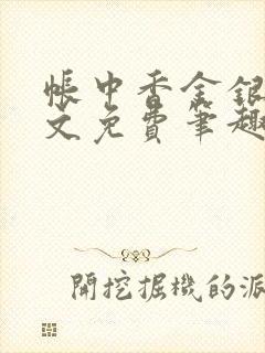 帐中香金银花原文免费笔趣阁封面