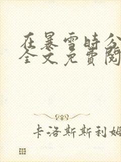 在暴雪时分小说全文免费阅读