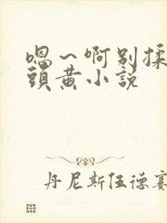 嗯～啊别揉我奶头黄小说