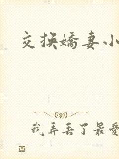 交换娇妻小说