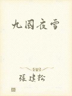 九国夜雪封面