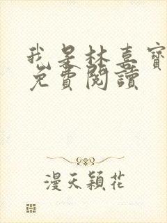 我是林喜宝小说免费阅读封面