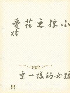 爱花之狼小说txt