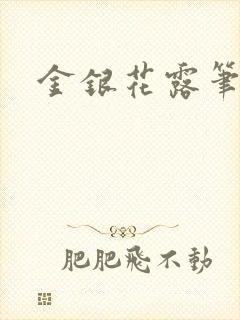 金银花露笔趣阁