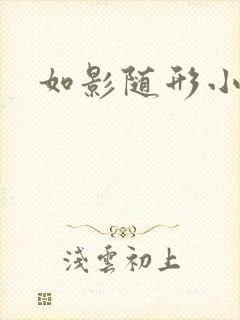 如影随形小说封面
