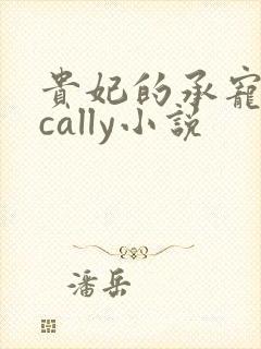 贵妃的承宠日常cally小说