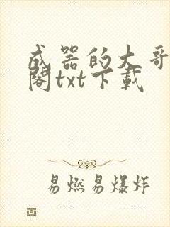 成器的大哥笔趣阁txt下载
