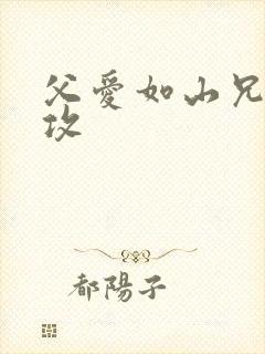 父爱如山兄有弟攻封面