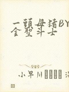 一头母猪BY黄金圣斗士