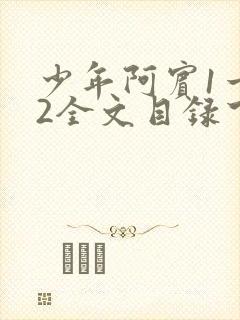 少年阿宾1一72全文目录下载