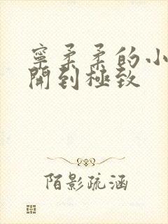 宁柔柔的小泬撑开到极致封面