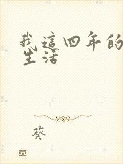 我这四年的奴隶生活封面