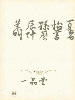 叶辰孙怡夏若雪叫什么书名封面