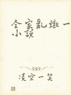 全家乱炖一锅烩小说